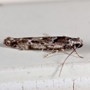 IMG 0744-Edit