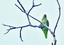 IMG 1176-Edit