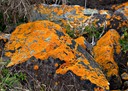 IMG 4289-Edit-2
