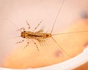 IMG_5025-Edit
