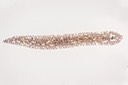 Flat Worm (Turbellaria)
