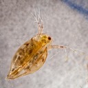 IMG_5509-Edit