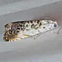 IMG 5600-Edit-Edit