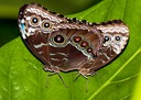 IMG 7930-Edit