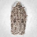 3556 (Acleris nigrolinea)